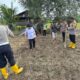 Polsek Witaponda Tanam  Jagung, Dukung Swasembada Pangan 