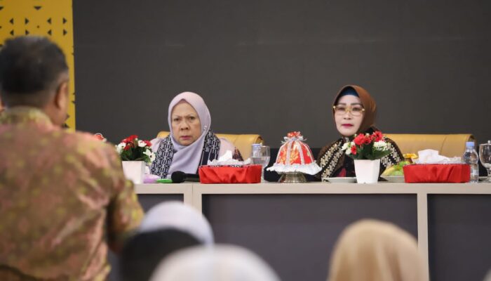 Jalin Sinergitas antar Pemprov Sulteng dan Pemdakab Morowali, Optimalisasikan Pelayanan Kesehatan di Wilayah 