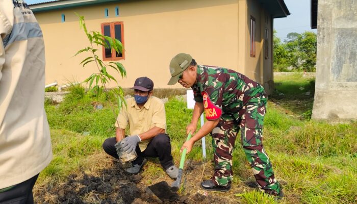 Babinsa Koramil Bahodopi Bersama Pemdes Keurea Tanam Pohon,  Program CSR PT. BDM