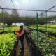 Vale (INCO) Reklamasi 65% Lahan Bekas Tambang di Sorowako