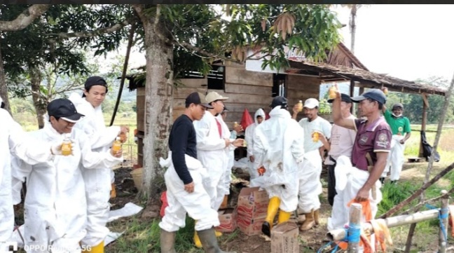 Bersama Pulihkan Towuti: Kolaborasi Pemerintah, Masyarakat, dan PT Vale untuk Ketahanan Bersama