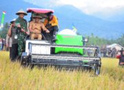 Pangdam XXIII/Palaka Wira dan Gubernur Sulteng Panen Raya Padi di Sigi: Sinergi Dorong Ketahanan Pangan