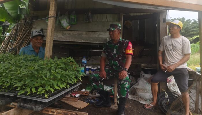 Perkuat Ketahanan Pangan,Kopka Hendra Kurniawan  Aktif Dampingi Petani 