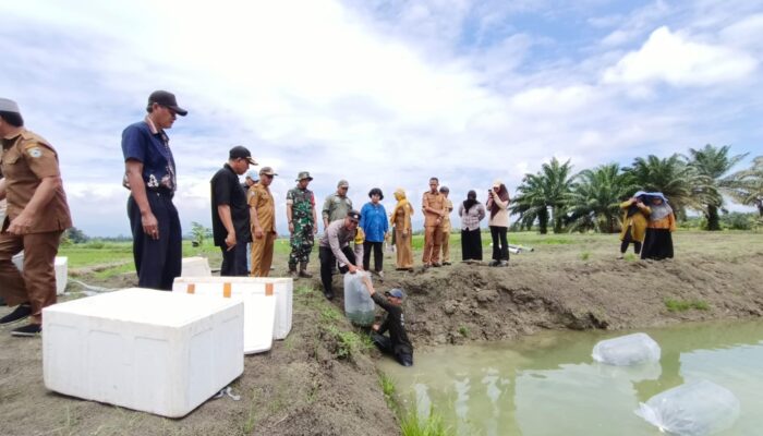 Polri untuk Masyarakat,  Bhabinkamtibmas Wita Ponda Lepas 10 Ribu Ikan Nila Dukung Ketahanan Pangan