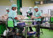 Hadirkan Kesetaraan, PT IMIP Buka Ruang Inklusi bagi Disabilitas  