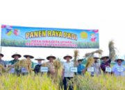 Danrem 132 Tadulako, Panen Raya 1,117 H di Kabupaten Sigi