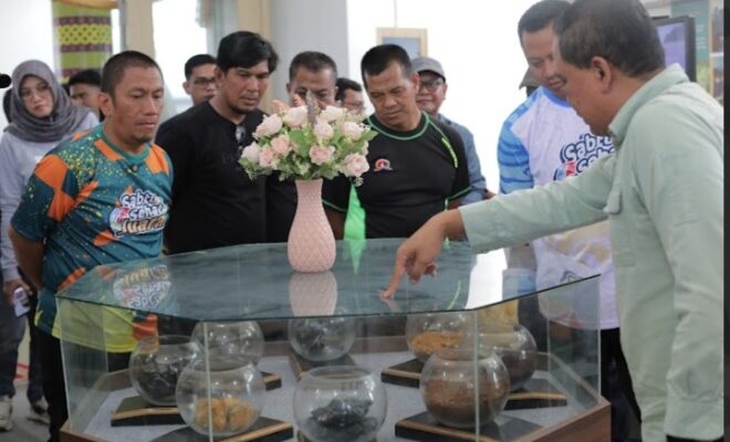 Dorong Literasi dan Edukasi Tematik Tambang Nikel, PT Vale Gandeng Pemda Luwu Timur Resmikan Vale Nickel Corner