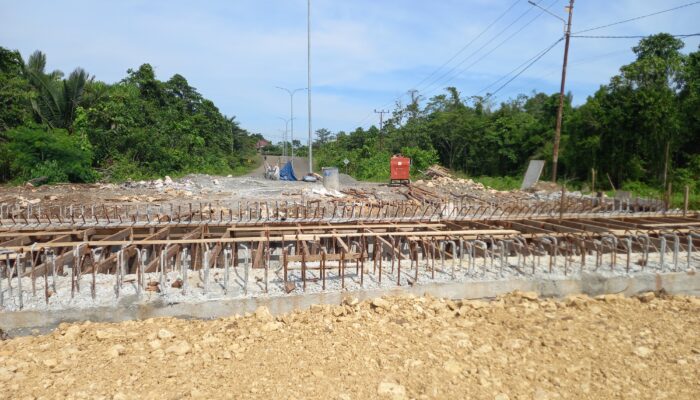 Akibat Ditikam “Basri” Pekerja Jembatan di Morowali Meningal Dunia