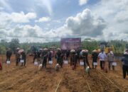 Sinergi TNI AD dan Petani di BIFA 1.400 Ha: Pangdam VI Dampingi Danpussenif Tanam Padi Gogo di Kutai Barat