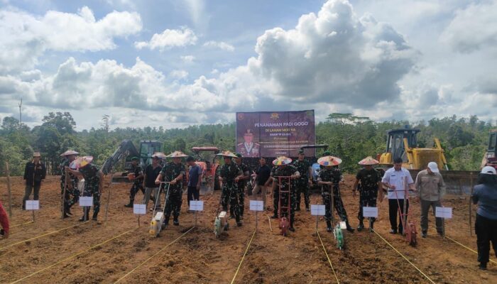 Sinergi TNI AD dan Petani di BIFA 1.400 Ha: Pangdam VI Dampingi Danpussenif Tanam Padi Gogo di Kutai Barat