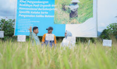 Dukung Asta Cita Presiden dan SDGs Ketahanan Pangan, PT Vale Panen Bersama Demplot Padi Berkelanjutan di Kolaka