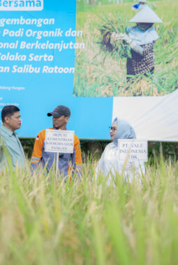 Dukung Asta Cita Presiden dan SDGs Ketahanan Pangan, PT Vale Panen Bersama Demplot Padi Berkelanjutan di Kolaka