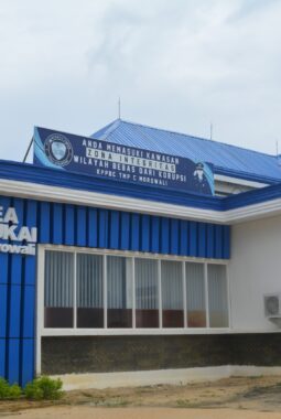 Ini Capai Bea Cukai Morowali Tahun 2025-2026