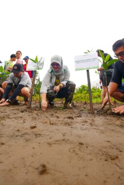 IMIP Tingkatkan Serapan Karbon, Target Reduksi Emisi