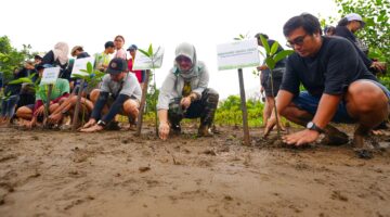 IMIP Tingkatkan Serapan Karbon, Target Reduksi Emisi