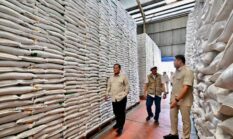 Pastikan Stok  Beras  Aman, Presiden Prabowo Sidak  Langsung Gudang  Bulog 