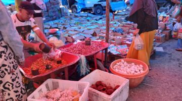 Morowali, Harga Tomat dan Bawang Putih Naik Dratis