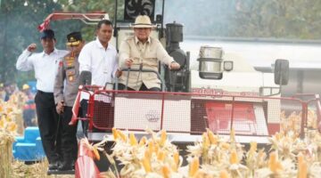 Presiden Prabowo, Pimpin Panen Raya  Jagung  Serentak Kuartal II Tahun 2026