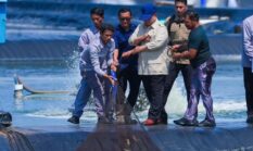 Presiden RI Prabowo  Panen Raya Udang 