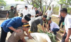 Danrem 132/Tdl :Momentum Idul Adha Menjadi Penguat Kebaikan,Persatuan dan Kerukunan di Tengah Kehidupan Masyarakat 