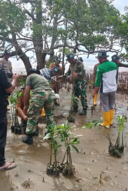 Peringati May day, Serikat  Pekerja IMIP dan Koramil 1311-09  Tanam Mangrove 