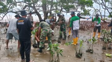 Peringati May day, Serikat  Pekerja IMIP dan Koramil 1311-09  Tanam Mangrove 