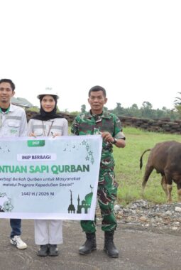 Jelang Idul Adha 1447 H, IMIP Salurkan Puluhan Hewan Kurban