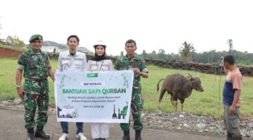 Jelang Idul Adha 1447 H, IMIP Salurkan Puluhan Hewan Kurban