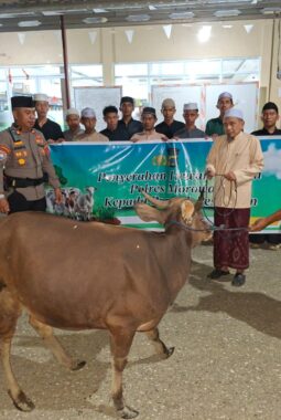 Hari Raya  Idul Adha 1447 H, Polres Morowali Salurkan Hewan Qurban ke Pondok Pesantren