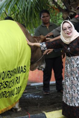 Morowali, Dapat Hewan Qurban 870 Kg dari Presiden  Prabowo 