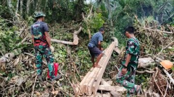 Satgas TMMD Ke-129 Bersama Warga, Ambil Kayu untuk Renovasi RTLH