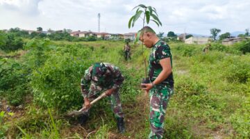 Perduli Lingkungan,Danramil 1311-09 Bahodopi Pimpin Tanam Pohon Mangga 