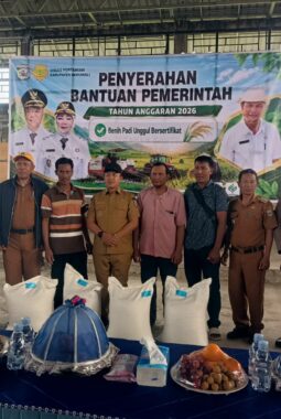 Bupati Morowali Serahkan Benih Padi Unggul Bersertifikat, Tegaskan Komitmen Perkuat Ketahanan Pangan   