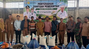 Bupati Morowali Serahkan Benih Padi Unggul Bersertifikat, Tegaskan Komitmen Perkuat Ketahanan Pangan   