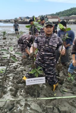 Hari Mangrove Sedunia, Danposal TNI AL Bahodopi Bersama PT IMIP Tanam Mangrove di Pantai Kurisa 