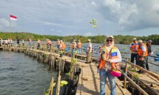 Hari Mangrove Sedunia, IMIP Dukung Penanaman 1 Juta Mangrove di 37 Provinsi