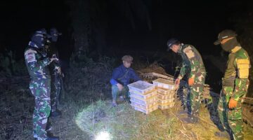 Satgas Pamtas RI-Malaysia Yonarmed 19/Bogani Gagalkan Dugaan Penyelundupan 200 Ekor Burung Kacer di Perbatasan