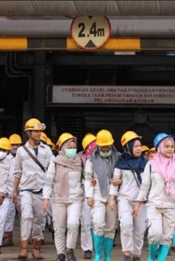 Pacu Ekonomi Sulteng, IMIP Serap Tenaga Kerja Hingga 97.427 Karyawan 