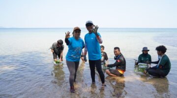 Merawat Pesisir, Menjaga Masa Depan: Kolaborasi PT Vale Kuatkan Ketahanan Ekosistem Luwu Timur