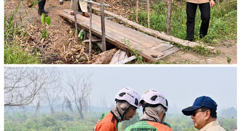foto slider headline