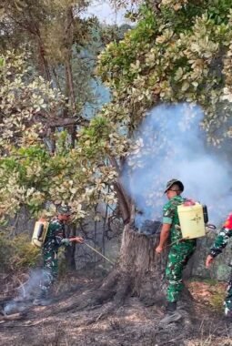 Gerak Cepat Kodim 1305/BT Padamkan Kebakaran Perkebunan Cengkeh di Bukit Sumalikat, 5 Hektar Lahan Terdampak