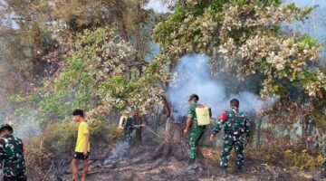 Gerak Cepat Kodim 1305/BT Padamkan Kebakaran Perkebunan Cengkeh di Bukit Sumalikat, 5 Hektar Lahan Terdampak