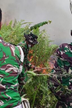 Serbu Api di Hutan Morowali Utara, 1 SSK Prajurit Yonif TP 825 Beri Rasa Aman Masyarakat