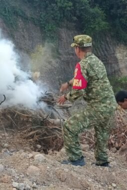 Gerak Cepat, Babinsa Koramil 1311-09/Bahodopi Padamkan Kebakaran Lahan Kosong di Desa Labota