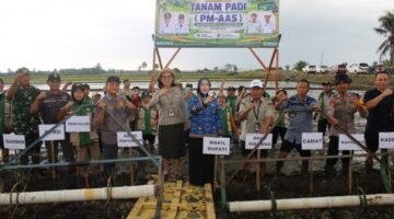 Wabup Morowali, Dukung Transformasi Pertanian Modern pada Gerakan Tanam Padi PM-AAS di Bumi Raya
