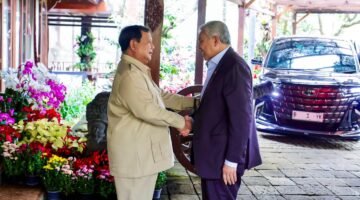 Presiden Prabowo  Menerima Kunker Wakil Petdana Menteri Malaysia 