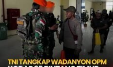 TNI Tangkap Wadanyon OPM Kodap 35 Bintang Timur di Yahukimo