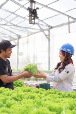 Dari Laboratorium ke Hidroponik, Jejak Karyawan IMIP di Ruang Hijau