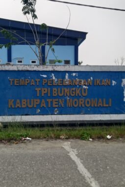 Hutang Bank Dunia 20 Miliar, Pemkab Morowali Bayar Cicilan 1,5 Miliar Per Tahun selama 20 Tahun 