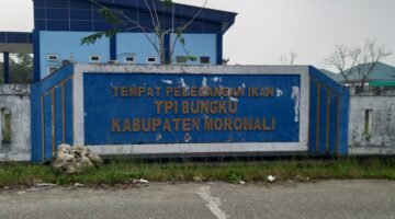 Hutang Bank Dunia 20 Miliar, Pemkab Morowali Bayar Cicilan 1,5 Miliar Per Tahun selama 20 Tahun 